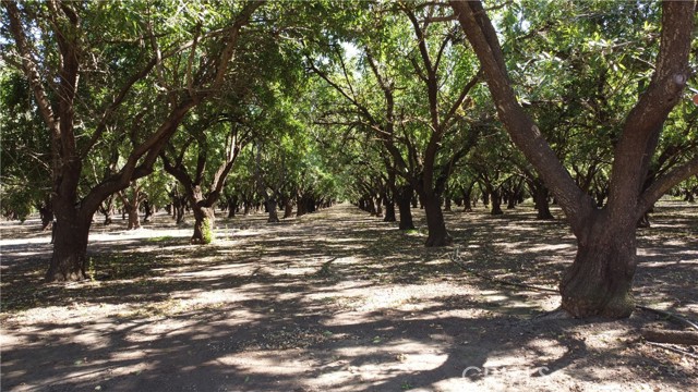 15283 Cana Pine Creek, Chico, California 95973, ,Land,For Sale,15283 Cana Pine Creek,CRSN23112916