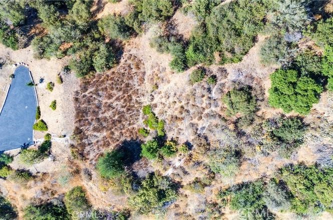 MLS #TR26004015 image #7