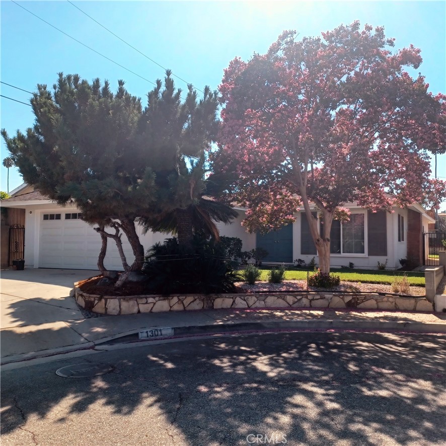 1301 Pine Tree Lane