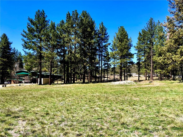 0 Butterfly Peak Rd, Mountain Center, CA, 92561 0 Butterfly Peak Rd, Mountain Center, CA, 92561
