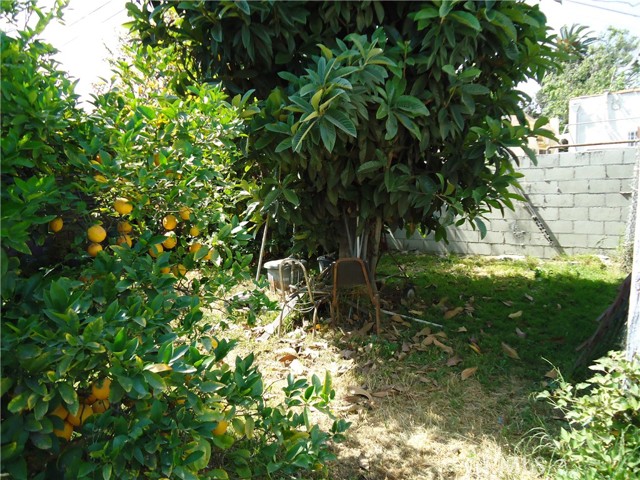 1723 browning blvd., Los Angeles CA: https://media.crmls.org/medias/34932710-1489-4df6-99c5-5a90da0e31a2.jpg