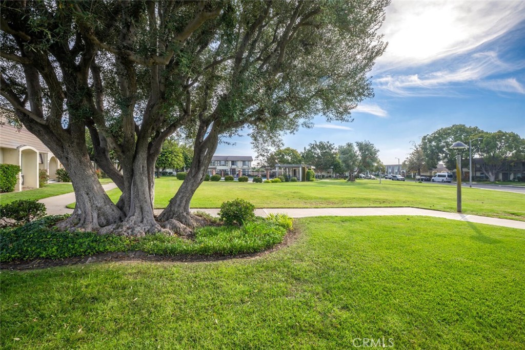 349E31F1 6300 4194 86C0 5D444Fd57Ce8 9686 Bloomfield, Cypress, Ca 90630 &Lt;Span Style='BackgroundColor:transparent;Padding:0Px;'&Gt; &Lt;Small&Gt; &Lt;I&Gt; &Lt;/I&Gt; &Lt;/Small&Gt;&Lt;/Span&Gt;