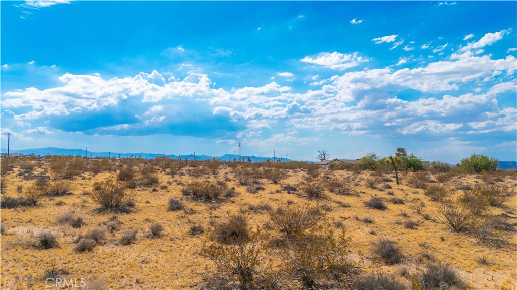 MLS #JT25139661 image #22