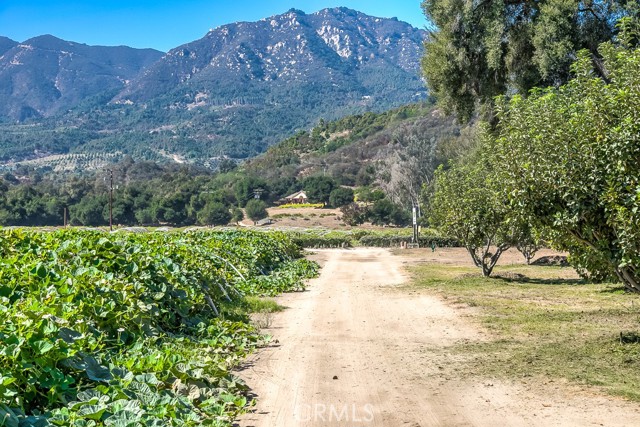 40635 De Luz Road, Fallbrook, CA, 92028 40635 De Luz Road, Fallbrook, CA, 92028