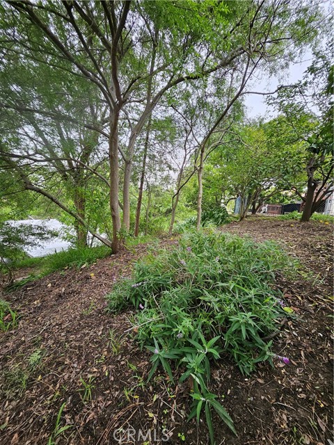 Detail Gallery Image 45 of 48 For 26349 Hillcrest Ave, Lomita,  CA 90717 - 5 Beds | 2 Baths