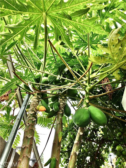 Detail Gallery Image 38 of 40 For 15121 Rancho Clemente, Paramount,  CA 90723 - 3 Beds | 2/1 Baths