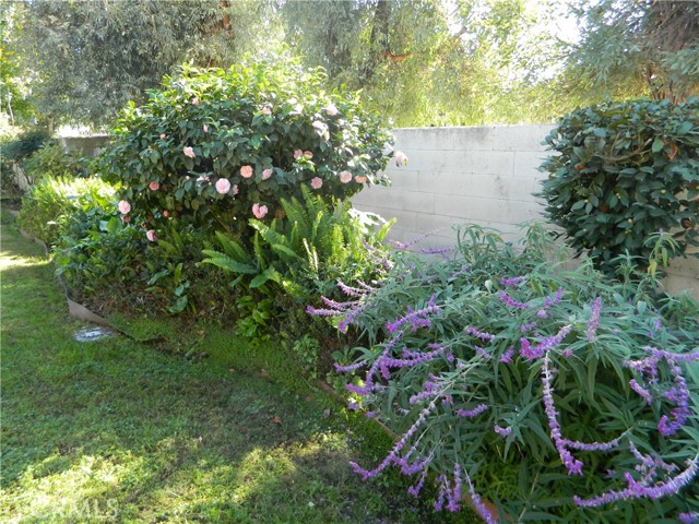 Detail Gallery Image 21 of 30 For 888 via Maria, Upland,  CA 91784 - 3 Beds | 3/1 Baths