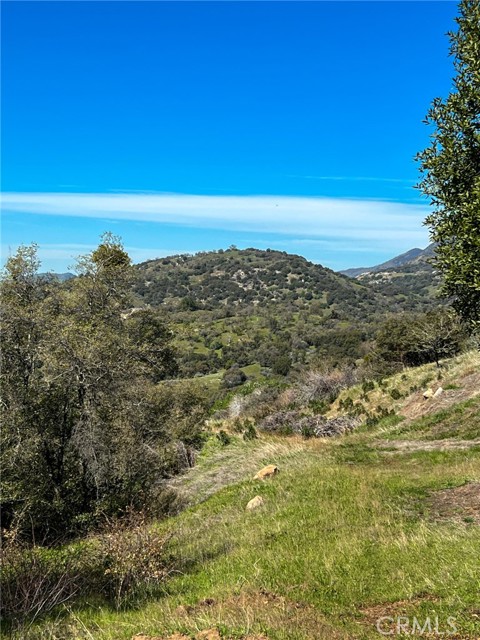 Detail Gallery Image 48 of 74 For 44981 Todd Eymann Rd, Miramonte,  CA 93641 - 1 Beds | 1 Baths