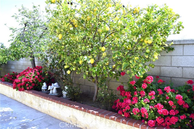 Detail Gallery Image 19 of 20 For 39723 Clements, Murrieta,  CA 92563 - 4 Beds | 2 Baths