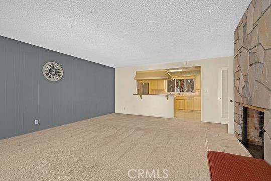 771 Brown Sage Drive photo 9