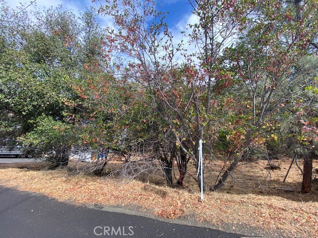 17699 Deer Hill, Hidden Valley Lake, CA, 95467 17699 Deer Hill, Hidden Valley Lake, CA, 95467