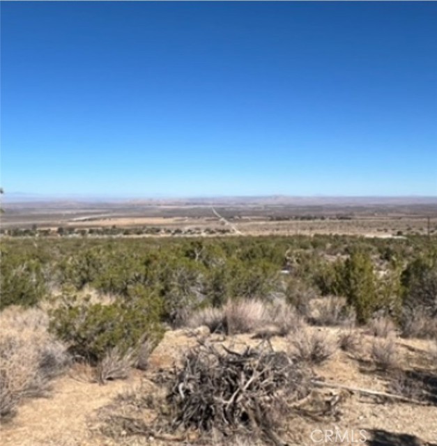 Front Image Thumbnail for CRDW25263892