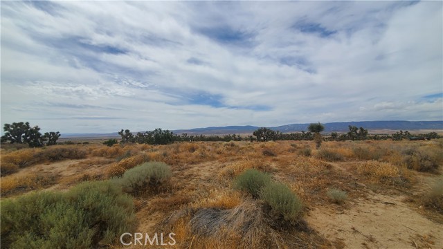 0 Vicinity Kingbird & 243rd St W, Rosamond, California 93560, ,Land,For Sale,0 Vicinity Kingbird & 243rd St W,CRSR23155108