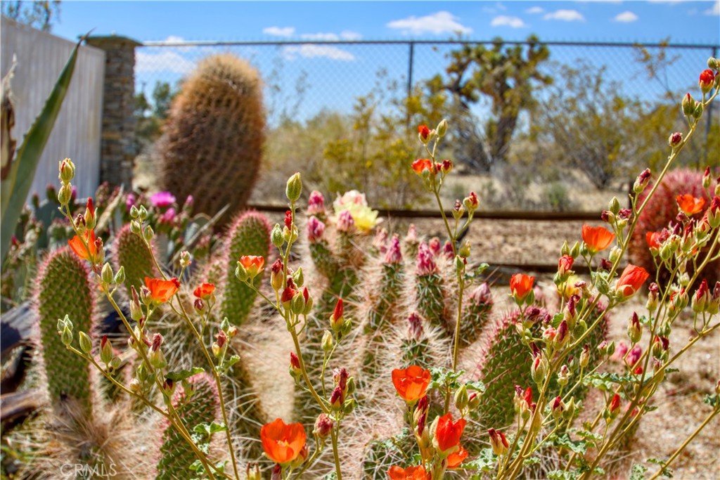 MLS #OC25244035 image #29