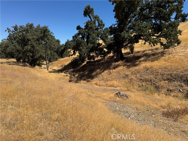 Detail Gallery Image 6 of 17 For 0 Arosa Rd, Tehachapi,  CA 93561 - – Beds | – Baths