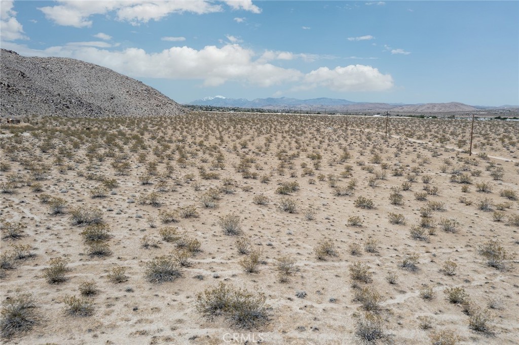 MLS #JT24094360 image #8