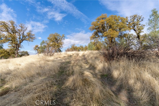 Detail Gallery Image 8 of 29 For 17333 Wagon Wheel Road, Corning,  CA 96021 - – Beds | – Baths