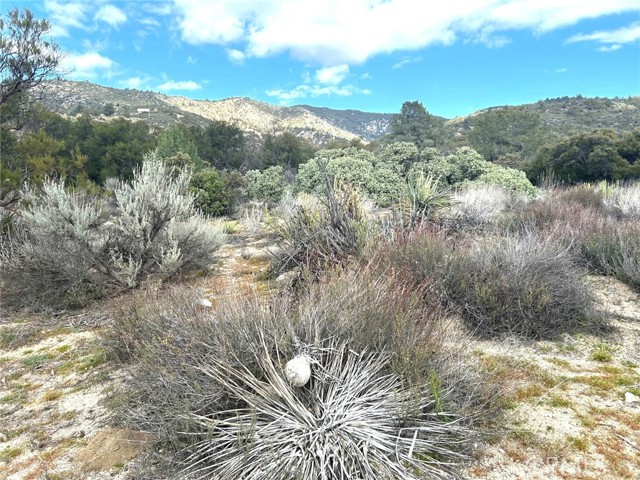 Detail Gallery Image 23 of 29 For 0 Oak Rd, Anza,  CA 92539 - – Beds | – Baths