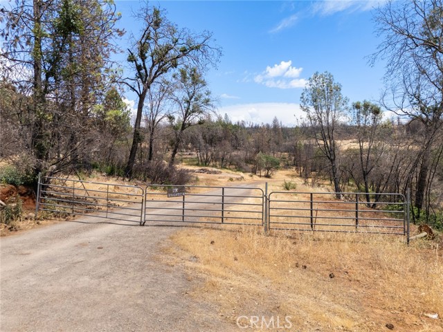 49 Redbank Road, Cohasset CA: https://media.crmls.org/medias/34e6dc42-c00b-4288-b923-4b8d6d53f934.jpg