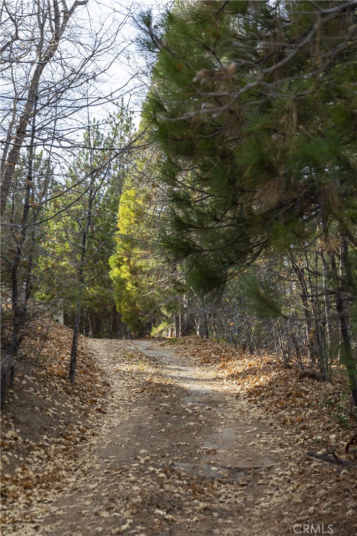https://media.crmls.org/medias/34e86c2d-27c4-445c-80b6-8afe477ac5ba.jpg?preset=X-Large