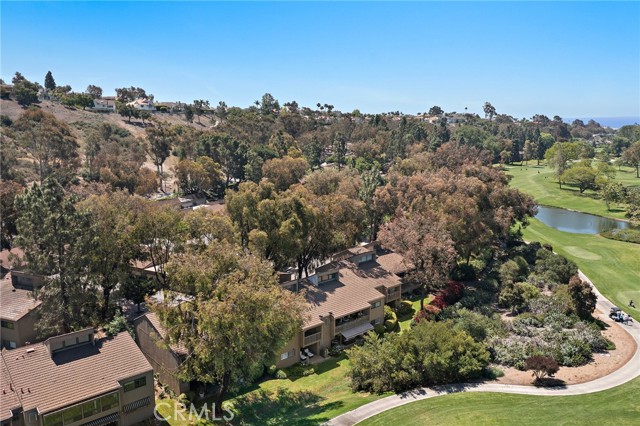 31313 E Nine Drive, Laguna Niguel CA: https://media.crmls.org/medias/34e94f3b-df07-4bd6-901f-54a5f0e60e17.jpg