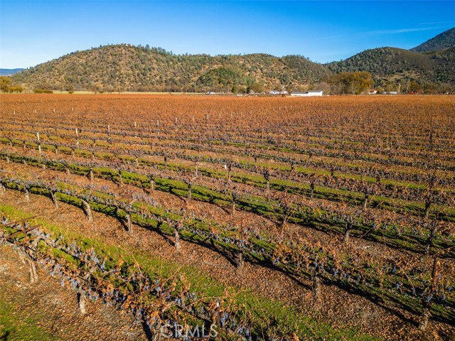 Detail Gallery Image 26 of 26 For 4150 Gaddy Ln, Kelseyville,  CA 95451 - – Beds | – Baths