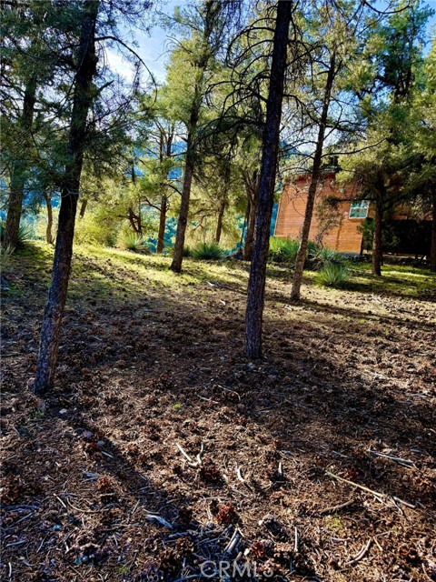 Detail Gallery Image 6 of 7 For 2604 Tirol, –,  CA 93225 - – Beds | – Baths