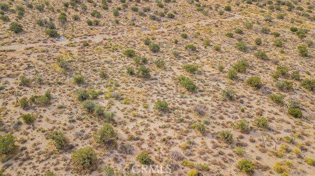 0 Vac/Vic Avenue Z10/257 Ste, Llano, California 93544, ,Land,For Sale,0 Vac/Vic Avenue Z10/257 Ste,CRCV23208710