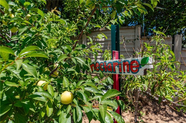 22501 Marilla Street, Chatsworth CA: https://media.crmls.org/medias/34fa0bc7-d793-4eb9-9986-5e20a07e4cac.jpg