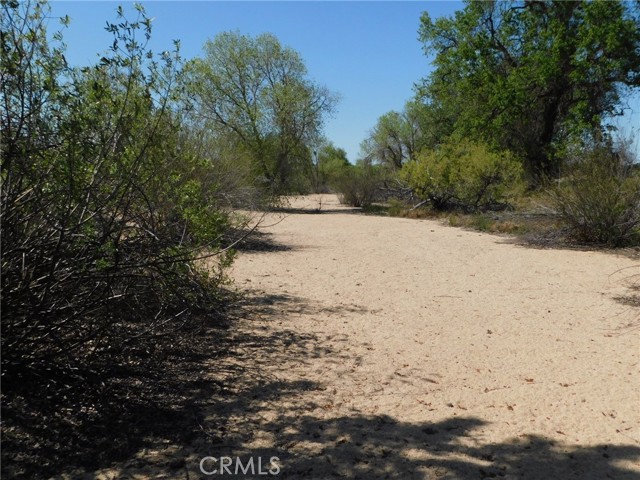 Detail Gallery Image 45 of 71 For 6675 Webster Rd, Creston,  CA 93432 - – Beds | – Baths