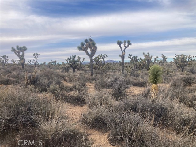 Detail Gallery Image 2 of 6 For 0 Cedar Canyon, Essex,  CA 92332 - – Beds | – Baths