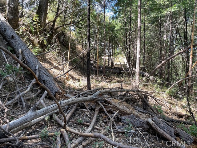 Detail Gallery Image 14 of 19 For 5693 Creel Rd, Mariposa,  CA 95338 - – Beds | – Baths