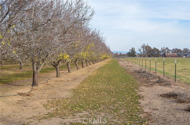 Detail Gallery Image 27 of 38 For 2854 Illinois Ave, Corning,  CA 96021 - 3 Beds | 2/1 Baths