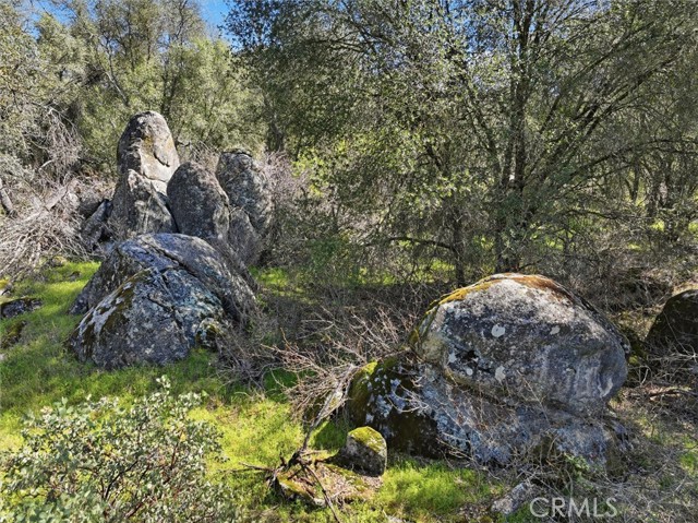 Detail Gallery Image 27 of 29 For 4260 Burl, Mariposa,  CA 95338 - – Beds | – Baths