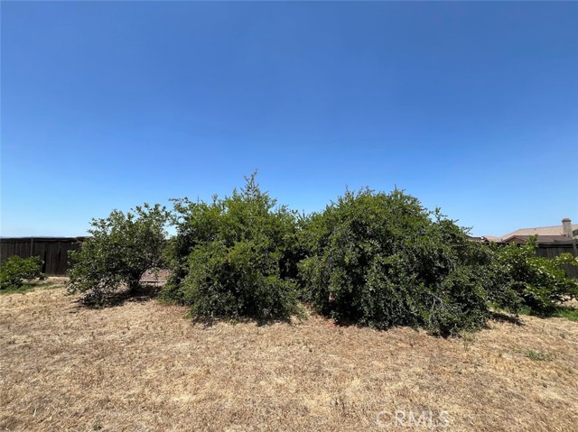 10072 Berkshire Drive, Jurupa Valley CA: https://media.crmls.org/medias/35186f8b-dc7f-4a83-a2b5-c6134c5ce598.jpg