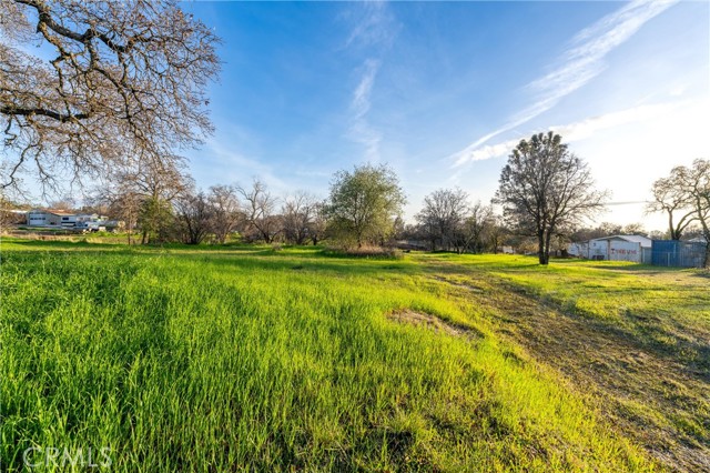 4560 Olive, Oroville, California 95966, ,Land,For Sale,4560 Olive,CROR24013389