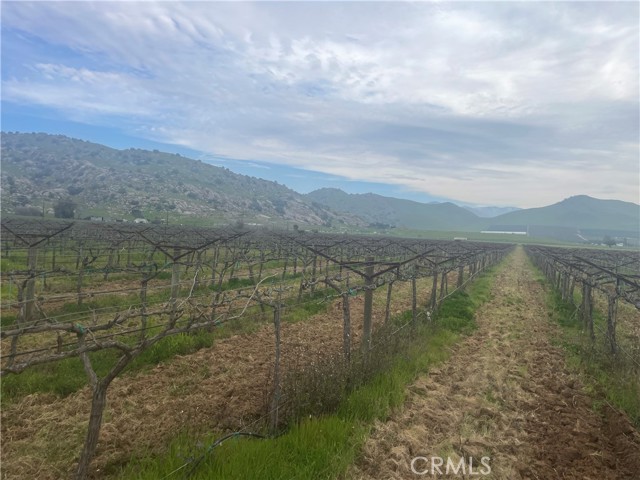 Detail Gallery Image 3 of 6 For 0 E Olive Ave, Porterville,  CA 93257 - – Beds | – Baths