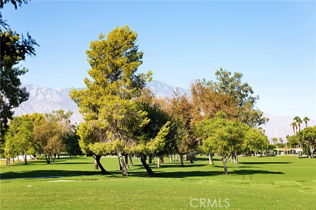 Detail Gallery Image 43 of 46 For 73450 352 Country Club Dr #352,  Palm Desert,  CA 92260 - 2 Beds | 2 Baths