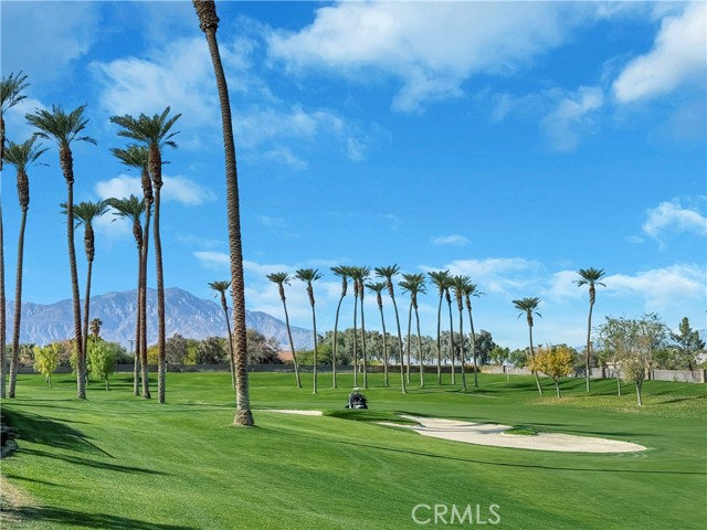 Detail Gallery Image 2 of 40 For 78256 Hollister Dr, Palm Desert,  CA 92211 - 2 Beds | 2 Baths