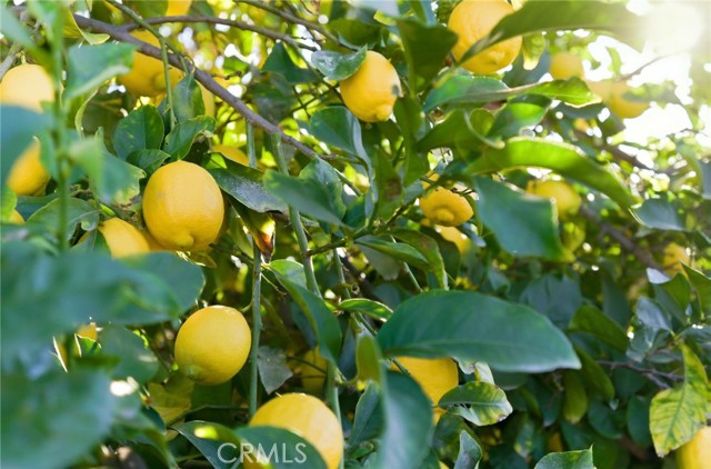 Detail Gallery Image 22 of 27 For 615 Kerilyn Ln, Hemet,  CA 92544 - 2 Beds | 2 Baths