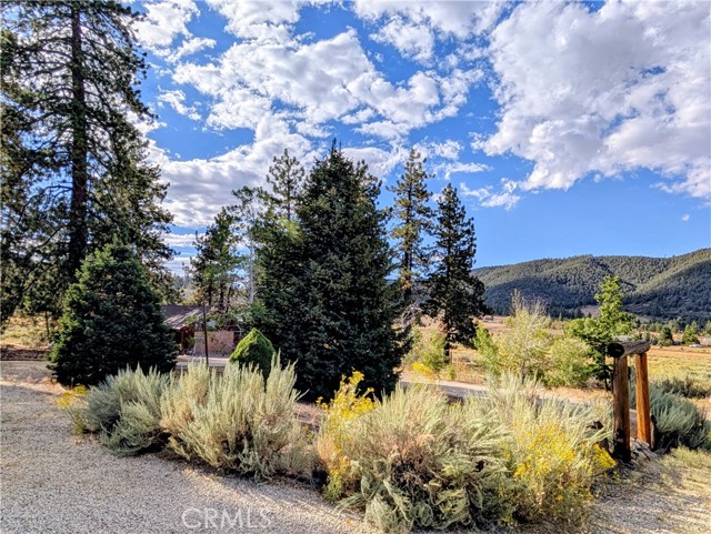 1575 Petersen Lane, Frazier Park CA: https://media.crmls.org/medias/352c5991-4055-44cb-9e6c-2ff726f376bd.jpg
