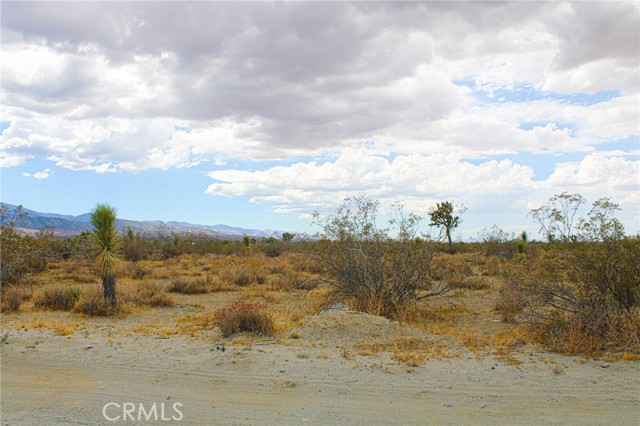 Image 2 for 0 Buckwheat, Pinon Hills, CA 92372