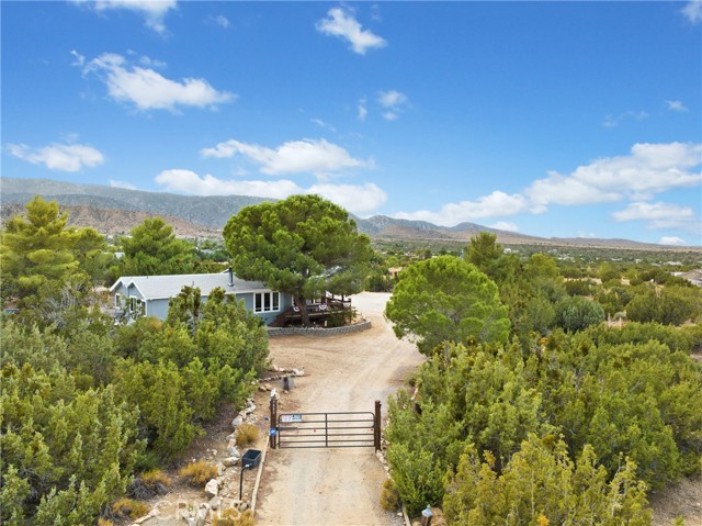 Detail Gallery Image 2 of 41 For 9880 Ponderosa Rd, Pinon Hills,  CA 92372 - 2 Beds | 2 Baths