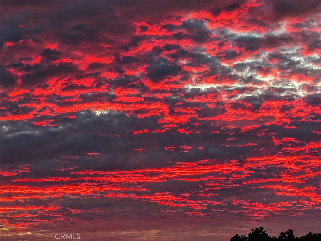 https://media.crmls.org/medias/353be176-c118-4e4a-aa77-0cc6322a9e2c.jpg?preset=X-Large
