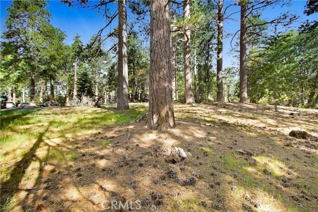 Detail Gallery Image 6 of 20 For 0 Pine Ridge Rd, Idyllwild,  CA 92548 - – Beds | – Baths