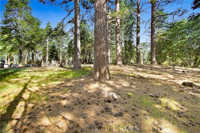 Detail Gallery Image 6 of 20 For 0 Pine Ridge Rd, Idyllwild,  CA 92548 - – Beds | – Baths