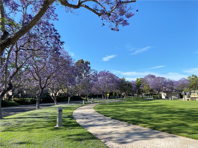 35458e20 60e2 4642 B627 2415950f3398