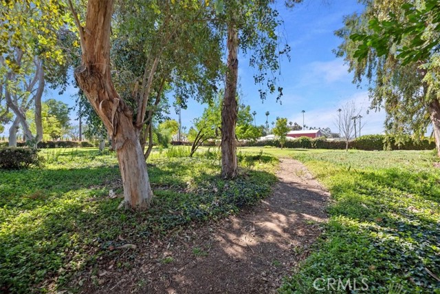 Detail Gallery Image 38 of 56 For 2764 Tropicana, Riverside,  CA 92504 - 4 Beds | 2 Baths