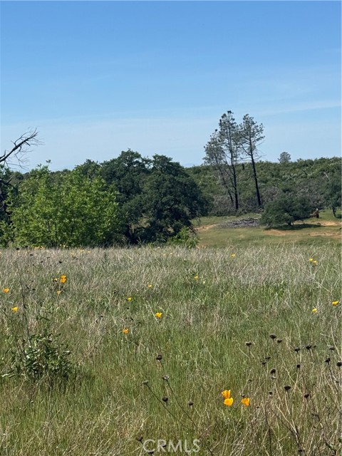 Detail Gallery Image 31 of 33 For 0 Round Valley Ranch, Paradise,  CA 95969 - – Beds | – Baths