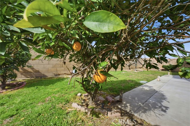 Detail Gallery Image 33 of 40 For 2039 Bayou Ct, Hemet,  CA 92545 - 4 Beds | 2/1 Baths